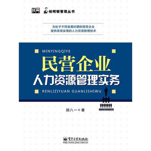 民營(yíng)企業(yè)人力資源管理實(shí)務(wù) 書(shū)籍